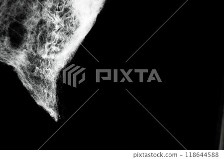 Spooky creepy cobweb spiders web covered a black background. Abstract halloween background. Spooky creepy cobweb spiders web covered a black background. Abstract halloween background. 118644588