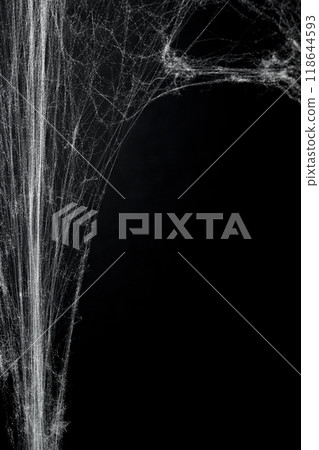 Spooky creepy cobweb spiders web covered a black background. Abstract halloween background. 118644593