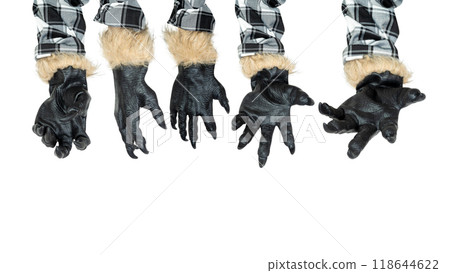 Set of werewolf hands with fur and black claws. Scary claw of werewolf, wolfman, or animal monster isolated over a white background 118644622