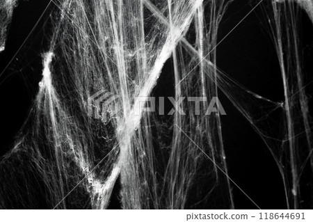 Spooky creepy cobweb spiders web covered a black background. Abstract halloween background. 118644691