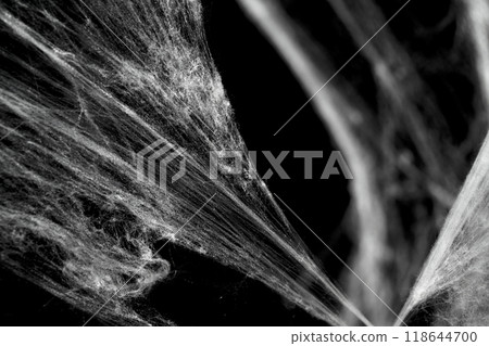 Spooky creepy cobweb spiders web covered a black background. Abstract halloween background. 118644700