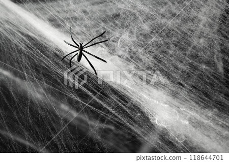 Black spider on spooky creepy cobweb spider web covered a black background 118644701