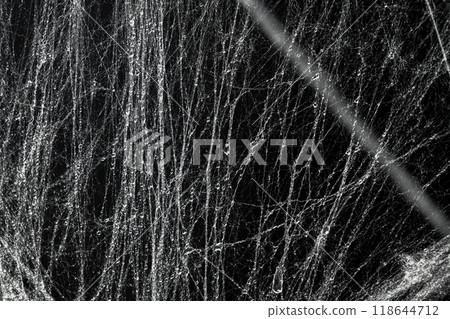 Spooky creepy cobweb spiders web covered a black background Spooky creepy cobweb spiders web covered a black background 118644712