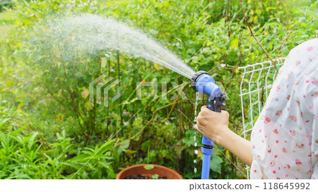 Home gardening/gardening | Watering image 118645992