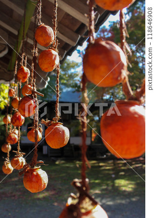 Persimmons drying on the eaves under a clear autumn sky Persimmons drying on the eaves under a clear autumn sky 118646908