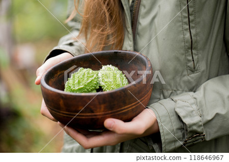 Bitter melon in a wooden bowl in female hands Bitter melon in a wooden bowl in female hands 118646967