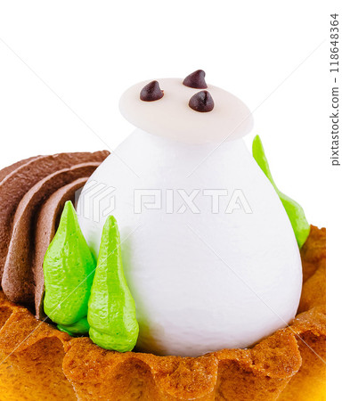 Delicious cake decorated with white chocolate and chocolate chips 118648364