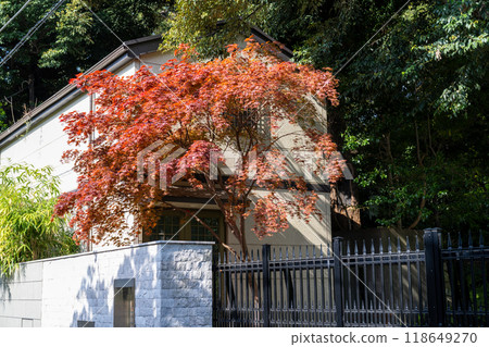 夜房楓的背景。 118649270