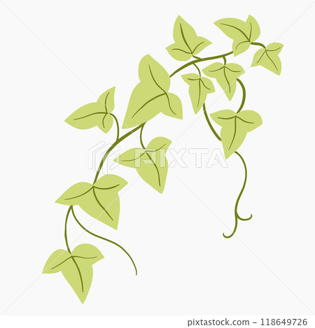 Floral ivy drawing decorative ornament flat design. 118649726