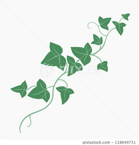 Floral ivy drawing decorative ornament flat design. 118649731