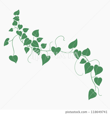 Floral ivy drawing decorative ornament flat design. 118649741