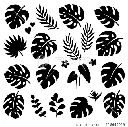 Tropical summer set palm, monstera leaves, eucalyptus branches Tropical summer set palm, monstera leaves, eucalyptus branches 118649919