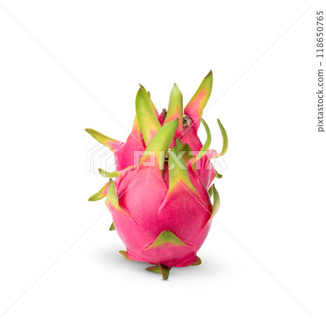 Dragon fruit isolated on white background 118650765