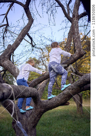 little sisters girls climb a tree, mother secures them below, camping with children 118650806