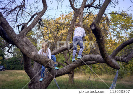 little sisters girls climb a tree, mother secures them below, camping with children 118650807