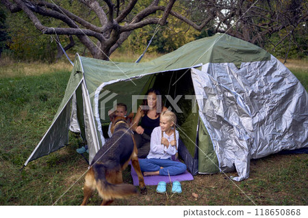 mother and little daughters are setting up a tourist tent in forest, camping with children mother and little daughters are setting up a tourist tent in forest, camping with children 118650868