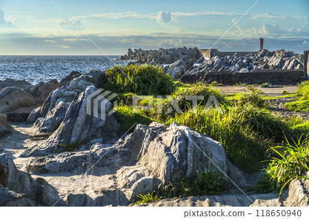 Summer scenery of the rocky coastline of Nadagasaki, Jogashima [Miura City, Kanagawa Prefecture] 118650940