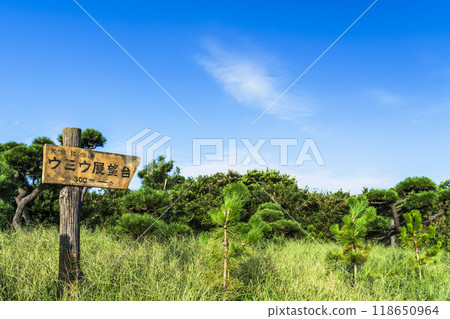 Kanagawa Prefectural Jogashima Park: Signboard for the "Umiu Observatory" [Miura City, Kanagawa Prefecture] 118650964