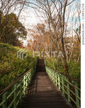 綠色欄杆步道 綠色欄杆步道 118651216