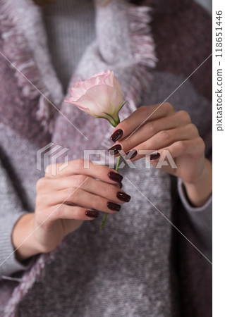 A woman holds a pink eustoma flower in her hands, close-up A woman holds a pink eustoma flower in her hands, close-up 118651446
