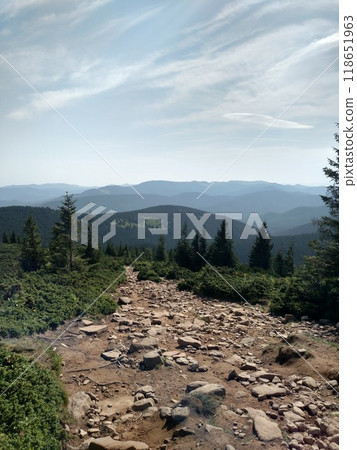 Mountain road trail leads to the bottom scenic landscape with view hiking trail Hoverla in the Carpathians Mountain road trail leads to the bottom scenic landscape with view hiking trail Hoverla in the Carpathians 118651963