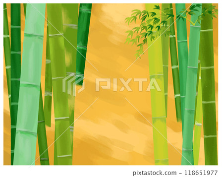 竹林 竹林 118651977