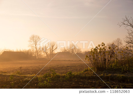 Sunny foggy autumn morning in the countryside 118652063