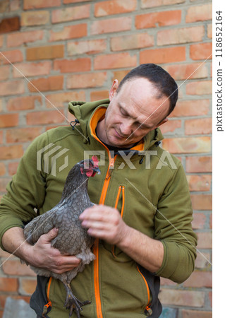 A male farmer holds a gray chicken of the dominant breed in his hands against a brick wall background 118652164