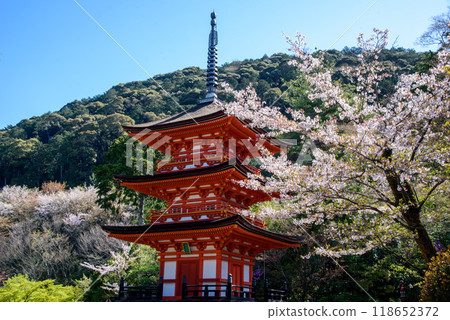 櫻花環繞的小安塔、清水寺 118652372