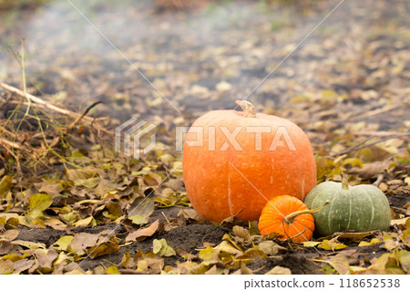 Still life of a group of different pumpkins with yellow leaves against a background of smoke from a bonfire 118652538