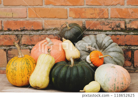 A group of different pumpkins of different sizes, colors and shapes on the background of a brick wall A group of different pumpkins of different sizes, colors and shapes on the background of a brick wall 118652625