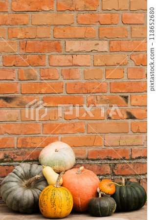 Still life of a group of different pumpkins of different sizes, colors and shapes on the background of a brick wall, copy space Still life of a group of different pumpkins of different sizes, colors and shapes on the background of a brick wall, copy space 118652680