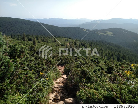 Mountain road trail leads to the bottom scenic landscape with view hiking trail Hoverla in the Carpathians horizontal Mountain road trail leads to the bottom scenic landscape with view hiking trail Hoverla in the Carpathians horizontal 118652926