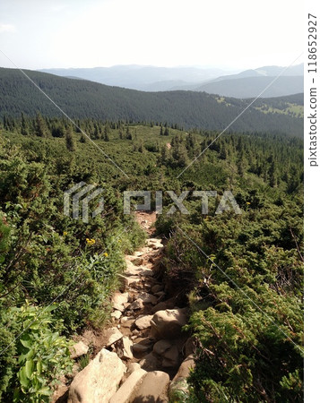 Mountain road trail leads to the bottom scenic landscape with view hiking trail Hoverla in the Carpathians vertical Mountain road trail leads to the bottom scenic landscape with view hiking trail Hoverla in the Carpathians vertical 118652927