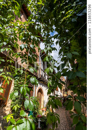 Overgrown alley in the picturesque medieval old town of Eguisheim in Alsace and on Alsace Wine Route, Haut-Rhin, Grand Est, France, Europe Overgrown alley in the picturesque medieval old town of Eguisheim in Alsace and on Alsace Wine Route, Haut-Rhin, Grand Est, France, Europe 118653296