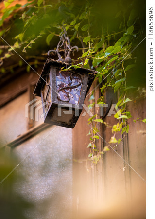 Dirty lantern in front of an overgrown entrance to an old house Dirty lantern in front of an overgrown entrance to an old house 118653696