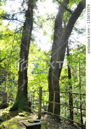 Monjudo and Suwa Shrine, historic sites in Izusawa, Ogano Town, Saitama Prefecture Monjudo and Suwa Shrine, historic sites in Izusawa, Ogano Town, Saitama Prefecture 118653974