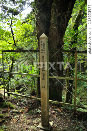 Monjudo and Suwa Shrine, historic sites in Izusawa, Ogano Town, Saitama Prefecture 118653975