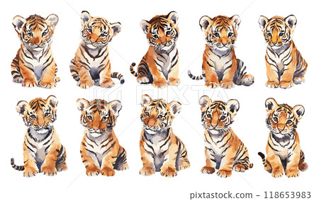 Tiger Cub in Various Playful and Cute Poses Active Resting Curious Watercolor Illustrations For Childrens Book 118653983