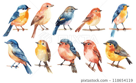 Cute Boho Style Birds Set Featuring Various Colors Patterns Feathers and Textures Watercolor Illustrations For Childrens Book 118654119