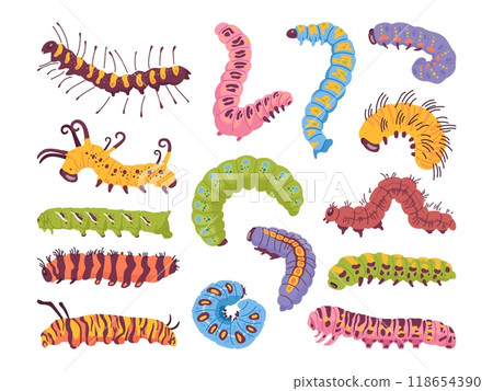 Colorful caterpillars. Crawling insects, caterpillar garden pest creature summer insect larva future moth or butterfly, bug worm maggot fauna cartoon swanky vector illustration 118654390