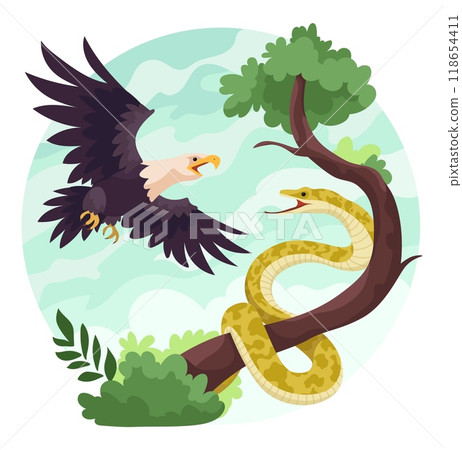 Eagle attacks snake. Flight predator hunting bird attacking serpent prey, venomous reptile and hunter hawk falcon raptor conflict wildlife habitat, ingenious vector illustration Eagle attacks snake. Flight predator hunting bird attacking serpent prey, venomous reptile and hunter hawk falcon raptor conflict wildlife habitat, ingenious vector illustration 118654411