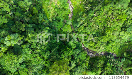 mountain river flows in the tropical jungle aerial view 118654479