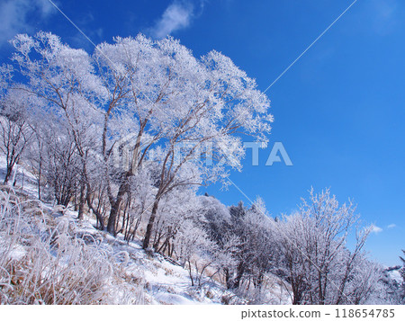 Hoarfrost at Daibosatsu Pass 118654785