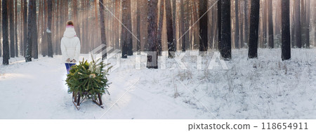 A girl pulls a sled with a Christmas tree through a picturesque forest illuminated by sunlight. A girl pulls a sled with a Christmas tree through a picturesque forest illuminated by sunlight. 118654911