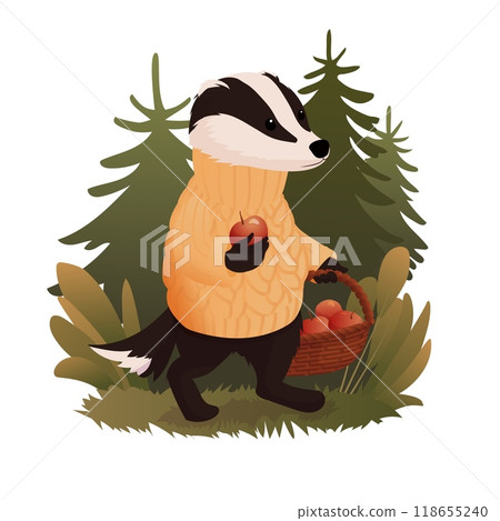 Vector illustration of a friendly badger wearing a warm knitted sweater, carrying a basket full of freshly picked apples, walking through the autumn woods 118655240
