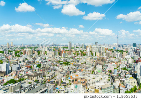 [東京] 天空樹的都市風景 118655633