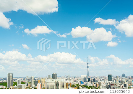 [Tokyo] Urban scenery with Sky Tree 118655643