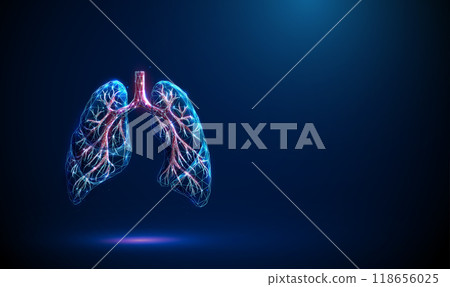 Abstract blue lungs with red human bronchial tree structure. Lungs anatomy, left and right bronchus, bronchioles, trachea Healthcare medical concept. 118656025