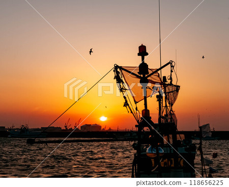 夕陽港 118656225